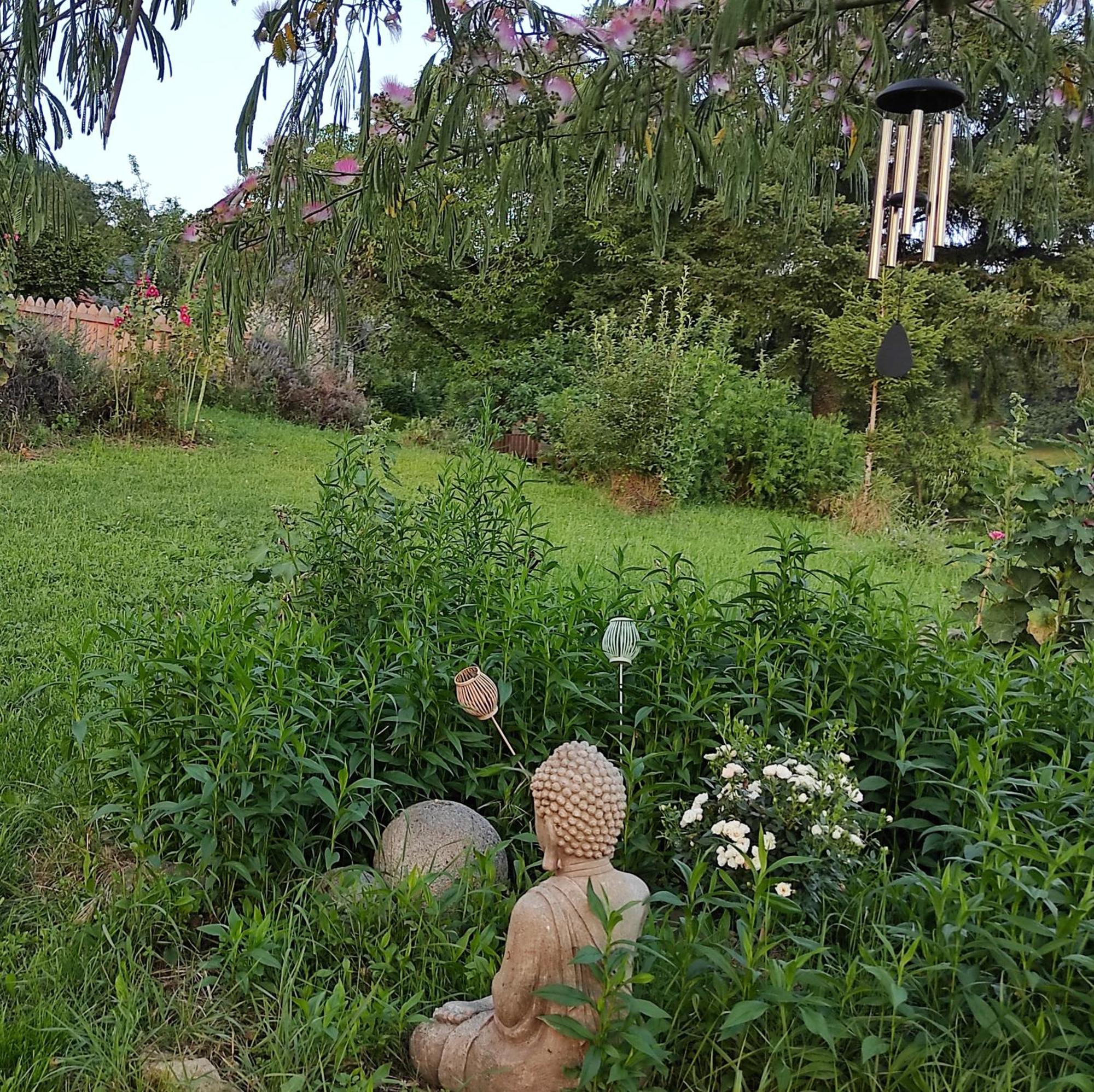 Bed and Breakfast Bout De Cote Lacam-d'Ourcet Экстерьер фото