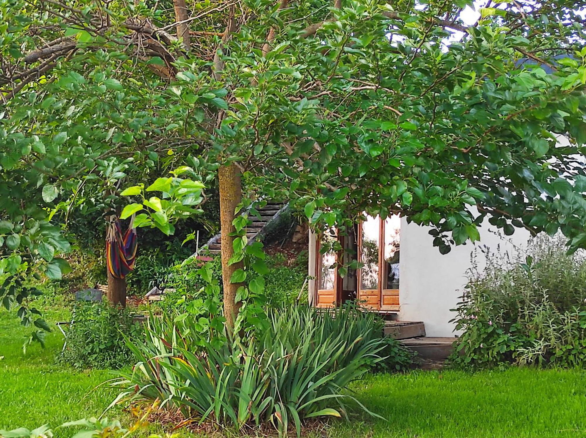 Bed and Breakfast Bout De Cote Lacam-d'Ourcet Экстерьер фото